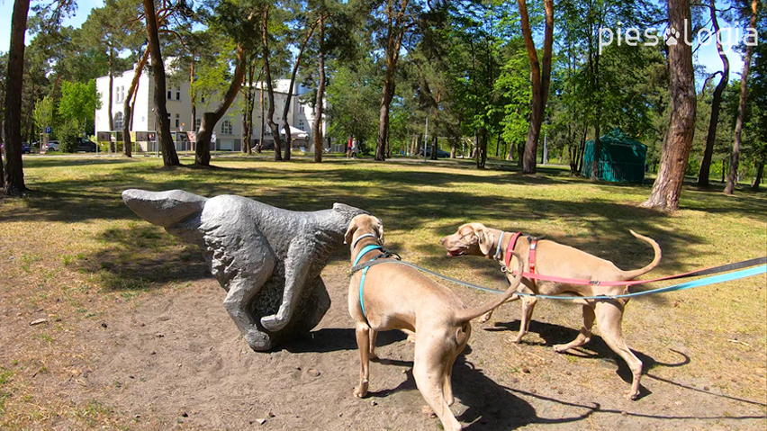 spacer wiosną - psy poznają rzeźbę psa